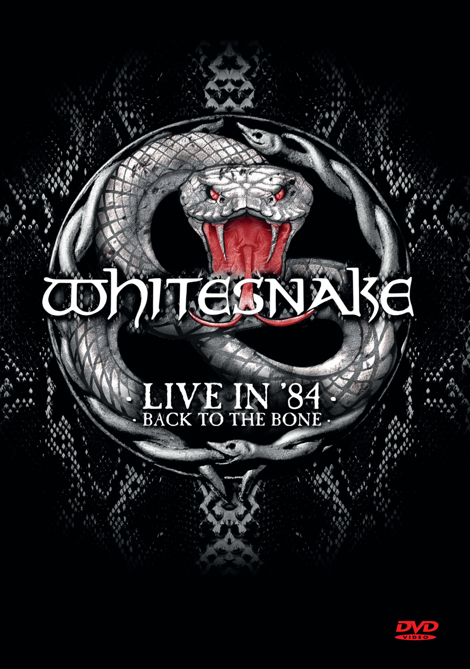 WHITESNAKE - Live in 1984 - Back To The Bone (DVD)